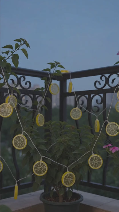LED Lemon Slice String Lights – Warm Yellow Decorative Fairy Lights for Room & Party Decor